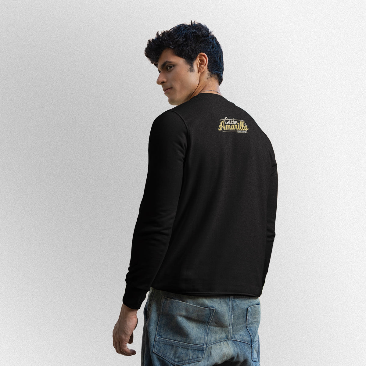 Sudadera Perro Coche